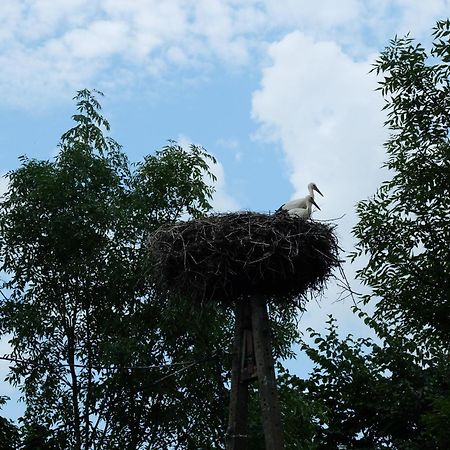 Bed and Breakfast Dom Na Mazurach Pilec Zewnętrze zdjęcie