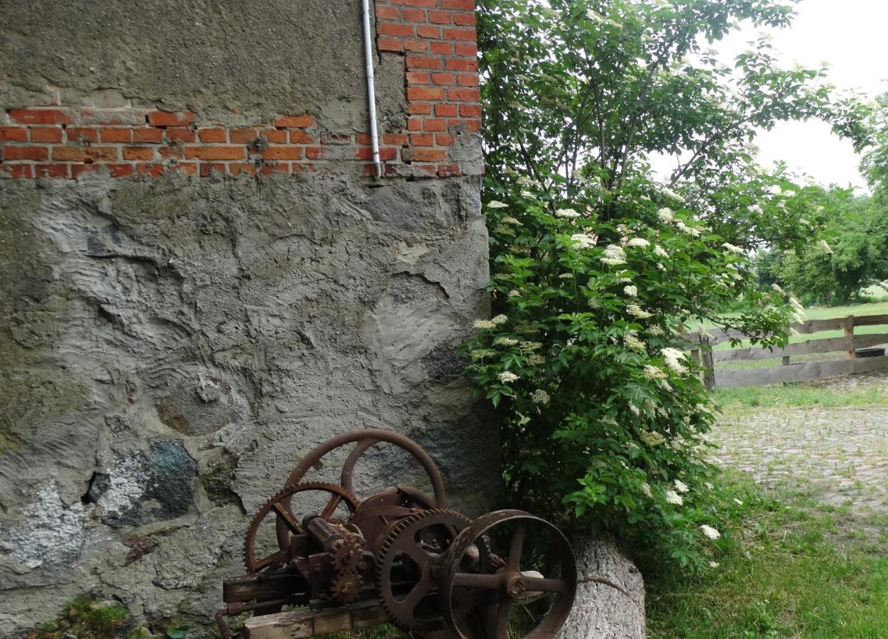 Bed and Breakfast Dom Na Mazurach Pilec Zewnętrze zdjęcie