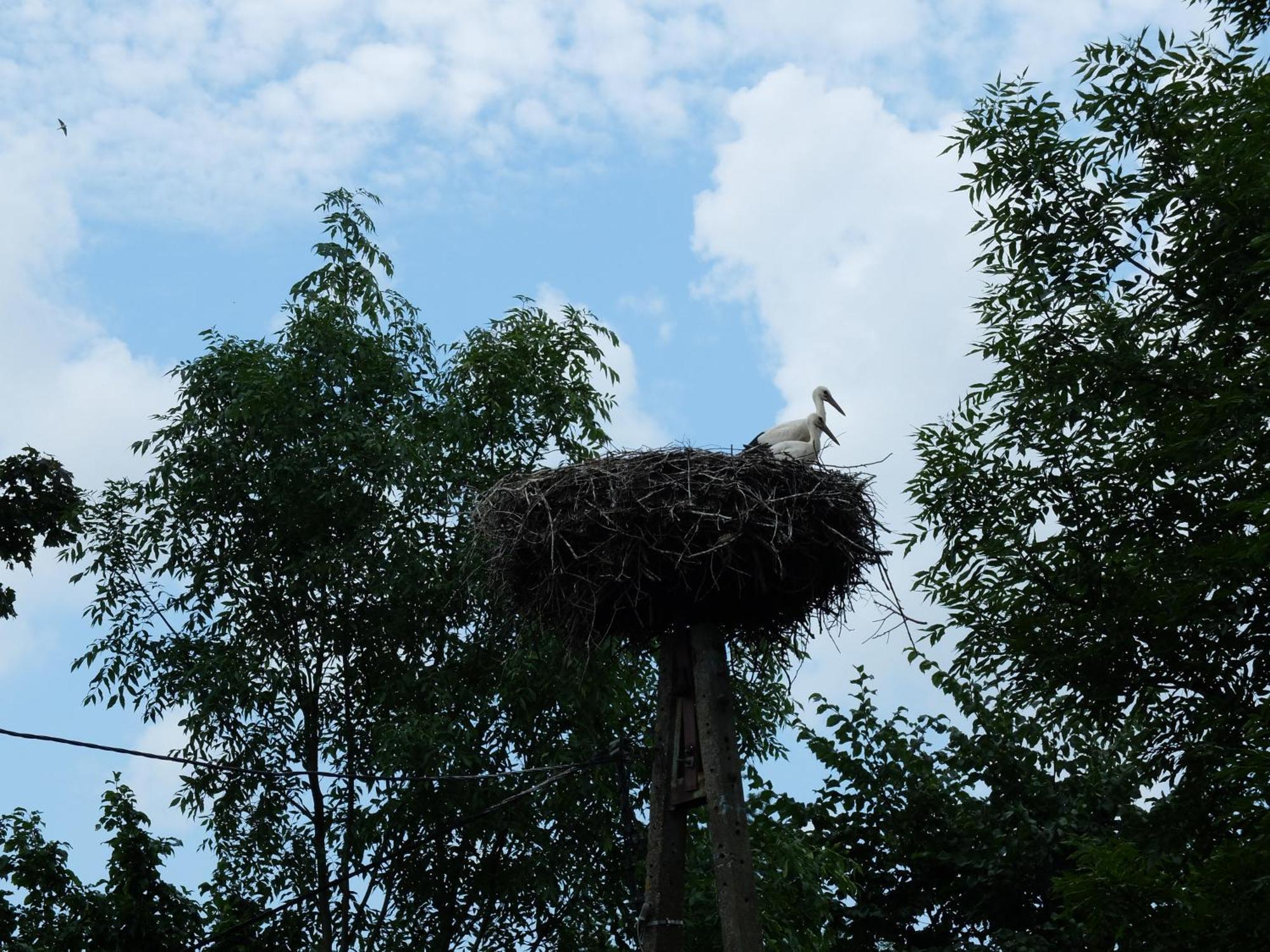 Bed and Breakfast Dom Na Mazurach Pilec Zewnętrze zdjęcie