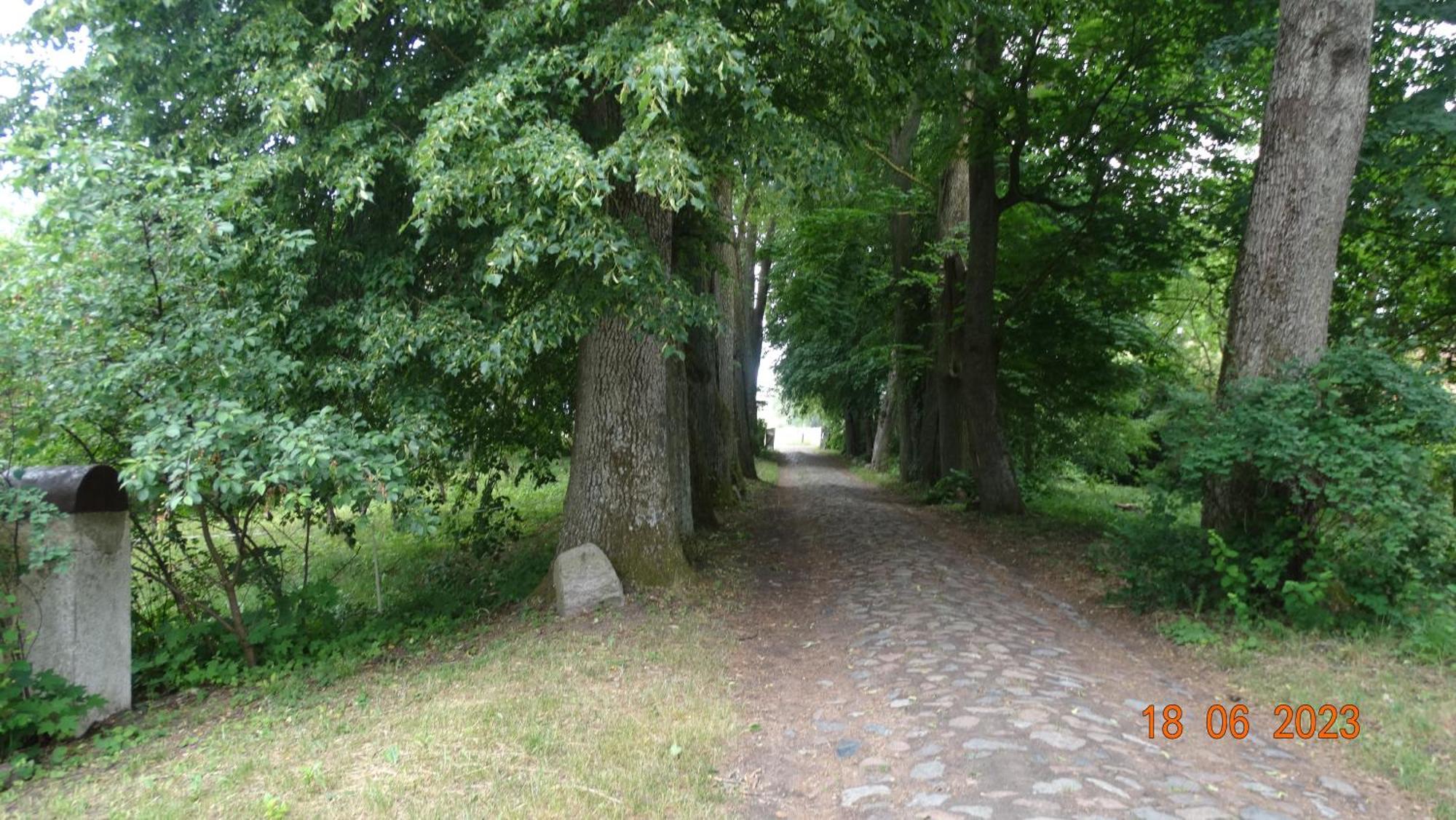 Bed and Breakfast Dom Na Mazurach Pilec Zewnętrze zdjęcie