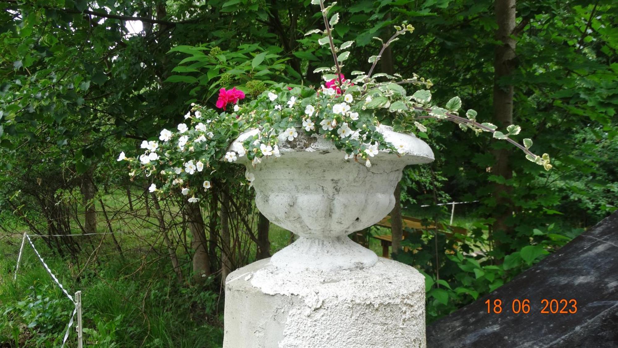 Bed and Breakfast Dom Na Mazurach Pilec Zewnętrze zdjęcie