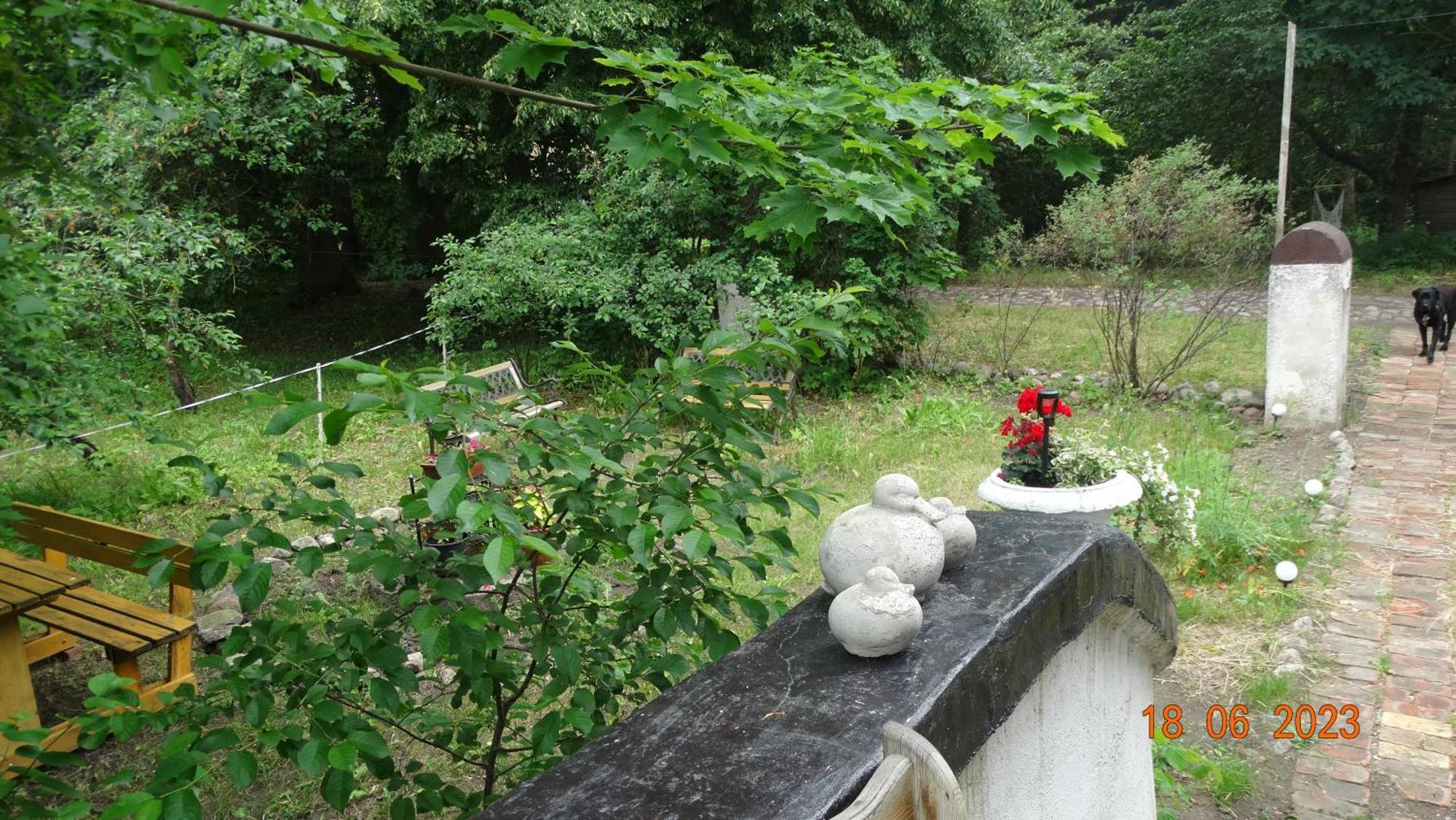 Bed and Breakfast Dom Na Mazurach Pilec Zewnętrze zdjęcie