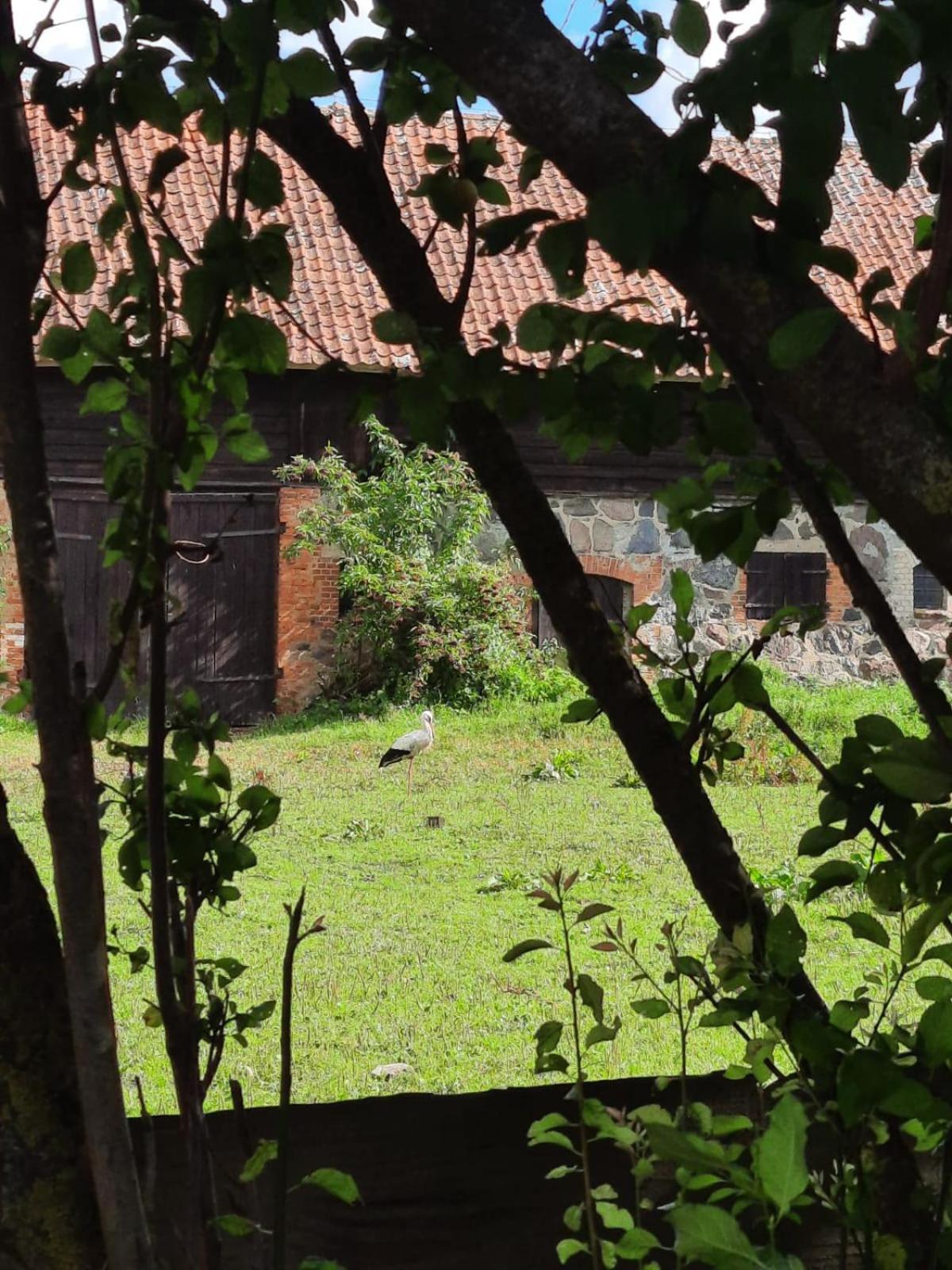 Bed and Breakfast Dom Na Mazurach Pilec Zewnętrze zdjęcie